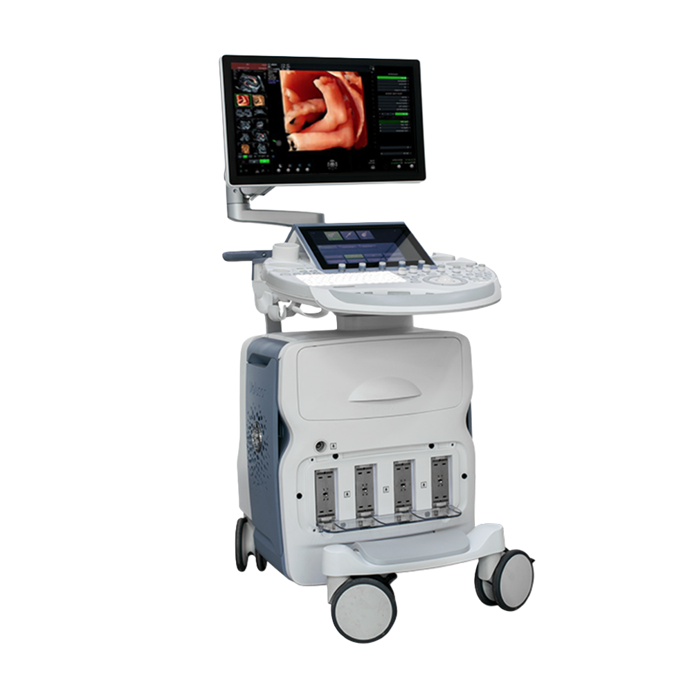 Voluson E6